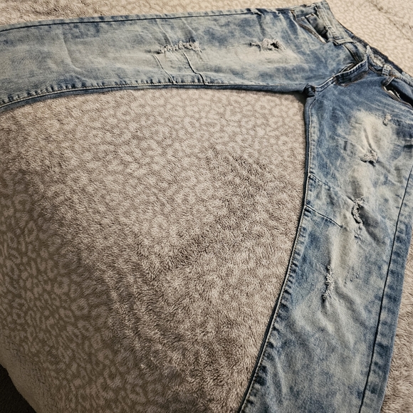 TR Premiem Distressed Jean - Picture 1 of 5